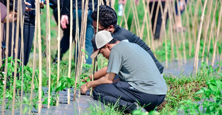 Kegiatan pengamatan rutin lahan pertanian pada Program Mahasiswa Petani Tangguh | Foto: Dok. Tani Nelayan Center IPB University (2025)