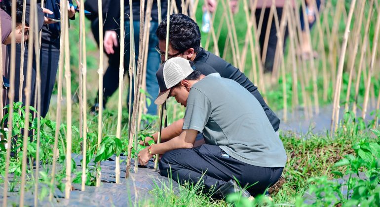 Kegiatan pengamatan rutin lahan pertanian pada Program Mahasiswa Petani Tangguh | Foto: Dok. Tani Nelayan Center IPB University (2025)