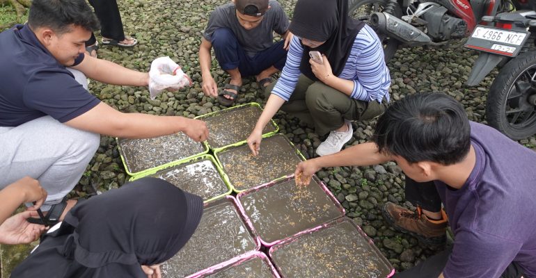 Penyemaian benih padi di media tanam dalam nampan pada Program Mahasiswa Petani Tangguh | Foto: Dok. Tani Nelayan Center IPB University (2025)