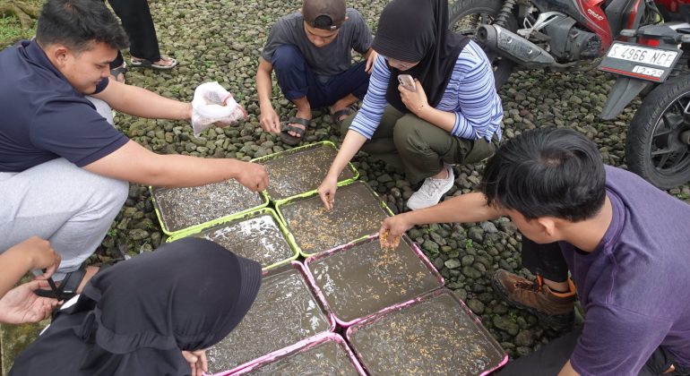 Penyemaian benih padi di media tanam dalam nampan pada Program Mahasiswa Petani Tangguh | Foto: Dok. Tani Nelayan Center IPB University (2025)
