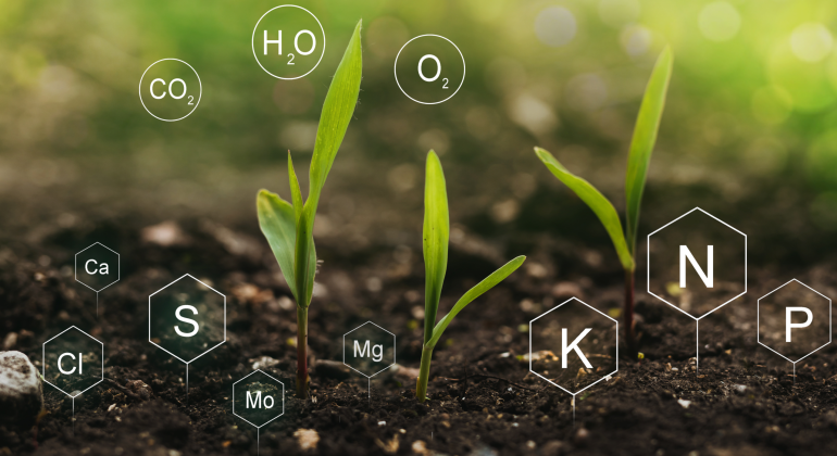 MENGAPA KTK (KAPASITAS TUKAR KATION) PENTING? RAHASIA TANAH SUBUR YANG JARANG DIKETAHUI 