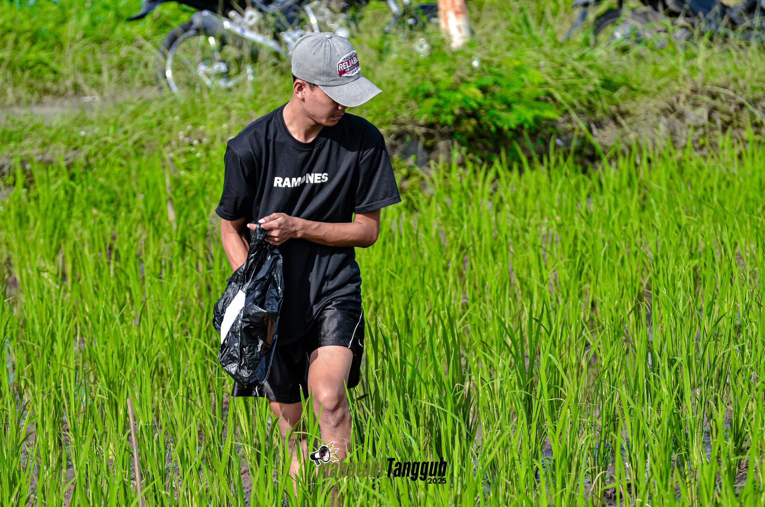 Kegiatan pengendalian hama keong tanaman padi pada Program Mahasiswa Petani Tangguh | Foto: Doc. Tani Nelayan Center IPB University (2025)