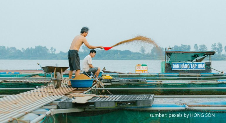 BUAT PAKAN IKAN MANDIRI UNTUK JADI SOLUSI HEMAT DAN RAMAH LINGKUNGAN 