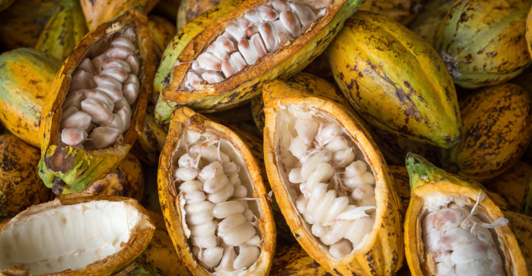 KAKAO MATANG DI LUAR TAPI LENGKET DI DALAM? KENALI PENYEBAB DAN CARA MENGATASINYA 