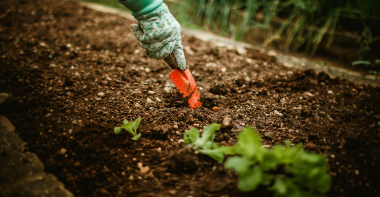 BAGAIMANA CARA MENGEMBALIKAN KESUBURAN TANAH YANG RUSAK AKIBAT PENGGUNAAN PUPUK KIMIA?