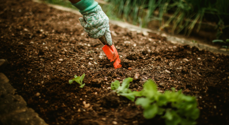 BAGAIMANA CARA MENGEMBALIKAN KESUBURAN TANAH YANG RUSAK AKIBAT PENGGUNAAN PUPUK KIMIA?