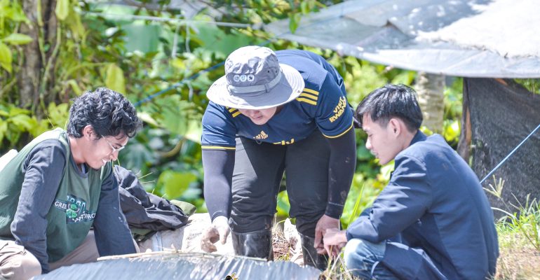 CEGAH SERANGAN HAMA TANAMAN CABAI DENGAN MULSA 