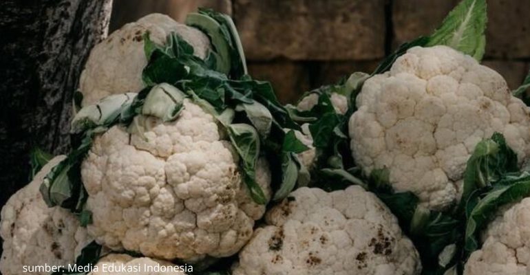 PENYEBAB DAN CARA MENGATASI BERCAK HITAM PADA BUAH KEMBANG KOL