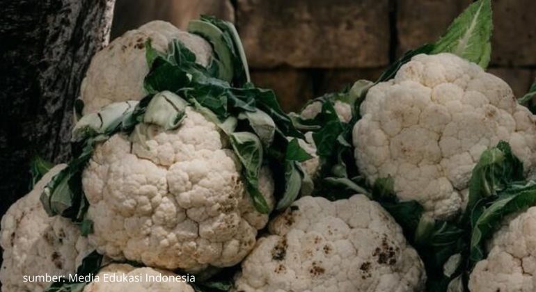 PENYEBAB DAN CARA MENGATASI BERCAK HITAM PADA BUAH KEMBANG KOL