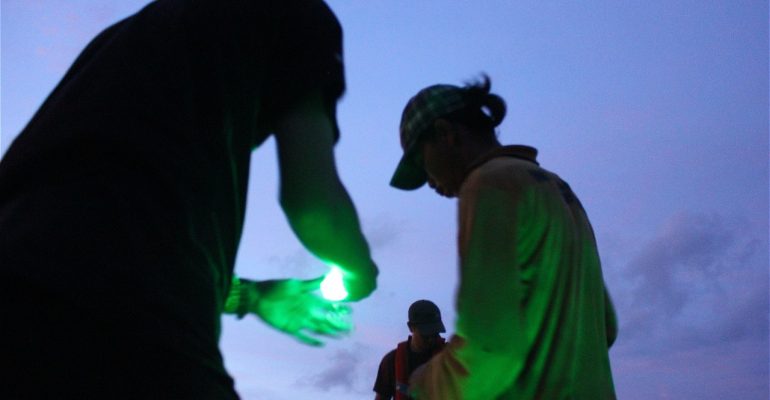 Lampu Led Hijau Alat Tangkap Ikan Ramah Lingkungan | Gambar: wwf.Id