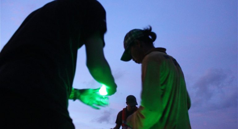 Lampu Led Hijau Alat Tangkap Ikan Ramah Lingkungan | Gambar: wwf.Id
