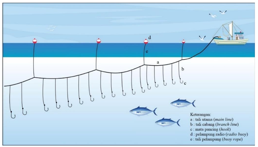 Teknis pengoperasian dan deskripsi alat tangkap armada rawai tuna | Sumber:  Ejurnal - Shafira Bilqis Annida, Faqih Baihaqi, Fadh Sjarifain Yanuar