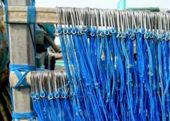 Pancing Rawai | Sumber: curve-watersports.com