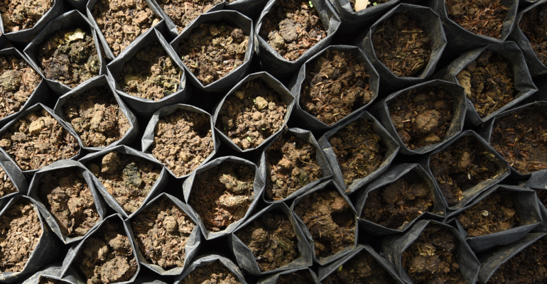 BAGAIMANA MENJAGA KESEIMBANGAN MEDIA TANAM DI MUSIM HUJAN AGAR TANAMAN TETAP TUMBUH OPTIMAL?