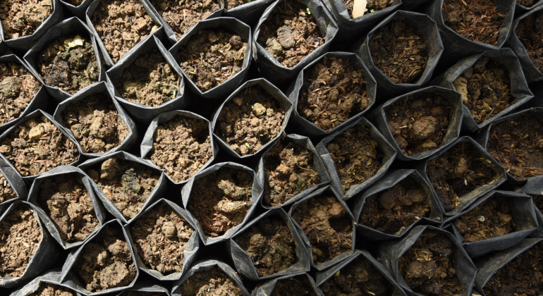 BAGAIMANA MENJAGA KESEIMBANGAN MEDIA TANAM DI MUSIM HUJAN AGAR TANAMAN TETAP TUMBUH OPTIMAL?