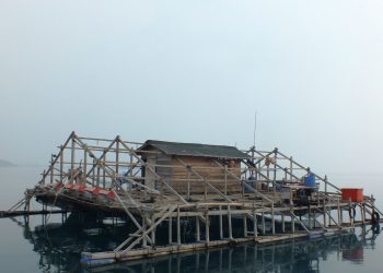 POTENSI BAGAN SEBAGAI ALAT PENANGKAPAN IKAN