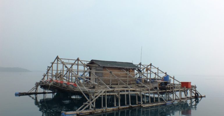 POTENSI BAGAN SEBAGAI ALAT PENANGKAPAN IKAN