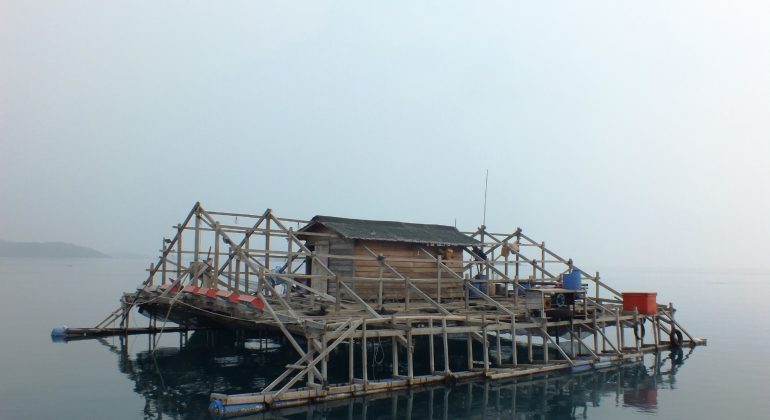 POTENSI BAGAN SEBAGAI ALAT PENANGKAPAN IKAN