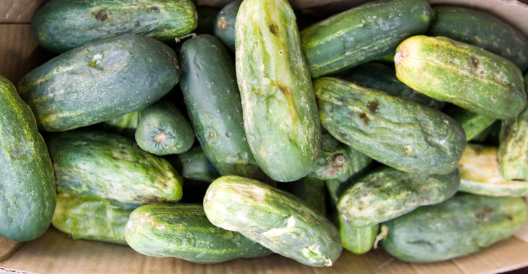 MENTIMUN CEPAT BUSUK? INI PENYEBAB UTAMANYA