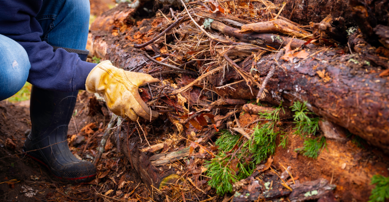 APAKAH SISTEM HUGELKULTUR EFEKTIF UNTUK PERTANIAN ORGANIK SKALA KECIL?