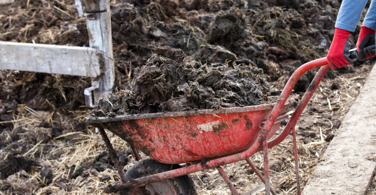 PUPUK KIMIA VS PUPUK KANDANG, MANA LEBIH BAIK UNTUK TANAH PERTANIAN?