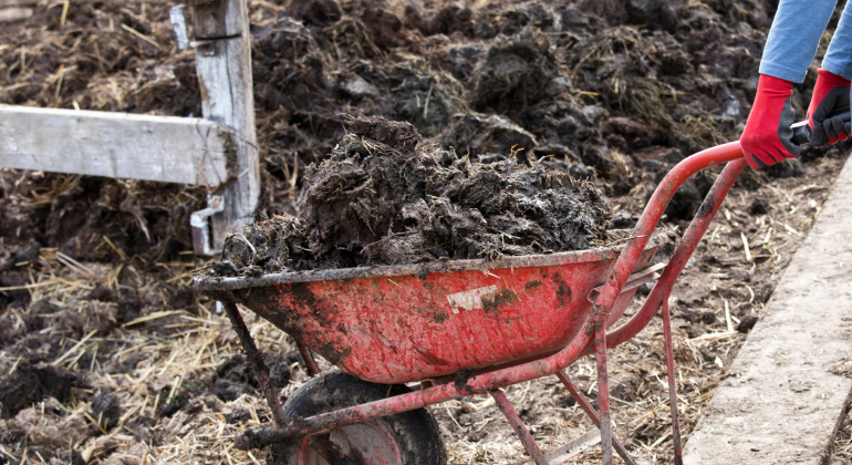 PUPUK KIMIA VS PUPUK KANDANG, MANA LEBIH BAIK UNTUK TANAH PERTANIAN?