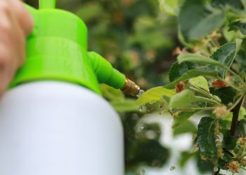 APAKAH BOLEH MENCAMPUR DUA ATAU LEBIH PESTISIDA SEKALIGUS?