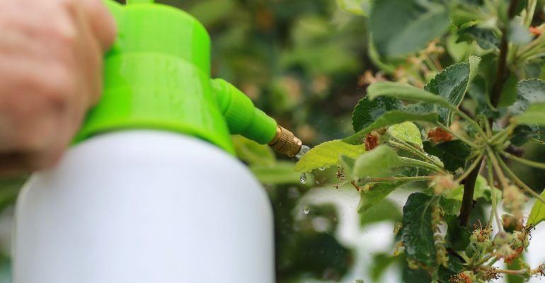 APAKAH BOLEH MENCAMPUR DUA ATAU LEBIH PESTISIDA SEKALIGUS?