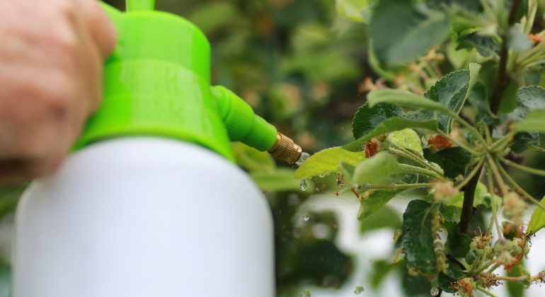 APAKAH BOLEH MENCAMPUR DUA ATAU LEBIH PESTISIDA SEKALIGUS?