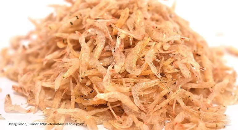 Udang Rebon, Sumber httpstribratanews.polri.go.id