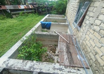 BUDIDAYA IKAN APAKAH EFEKTIF DI KOLAM LAMA?