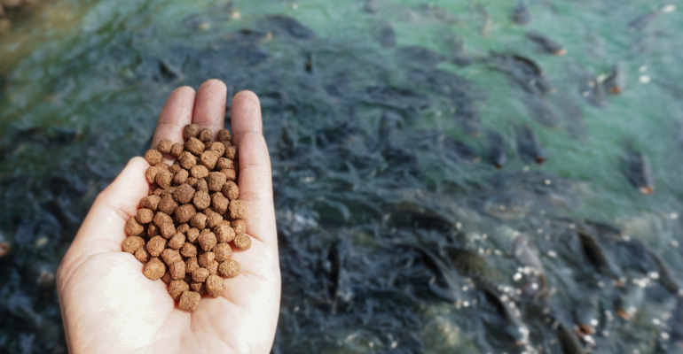 APLIKASI PROBIOTIK UNTUK MENINGKATKAN PERTUMBUHAN IKAN