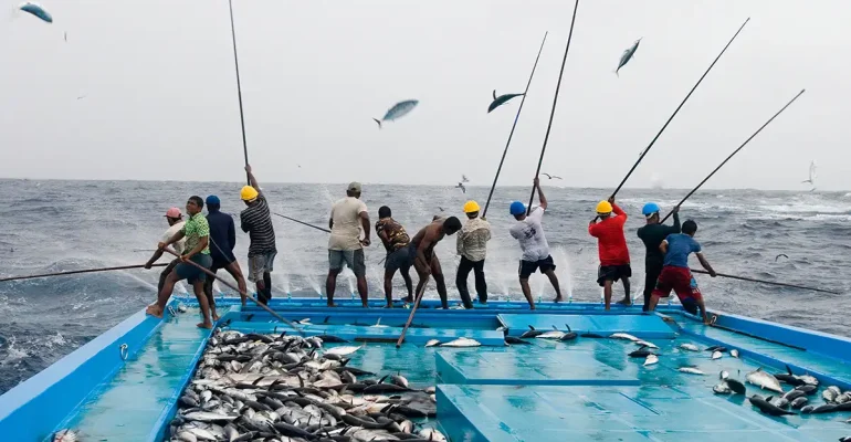 HUHATE : ALAT TANGKAP PANCING TANPA REPOT LEPAS KAIL, Foto:  www.newscientist.com/