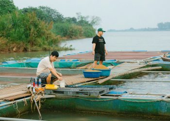 BAGAIMANA MENGELOLA KESEHATAN DAN PERTUMBUHAN OPTIMAL PADA POLIKULTUR UDANG DAN NILA DI TAMBAK