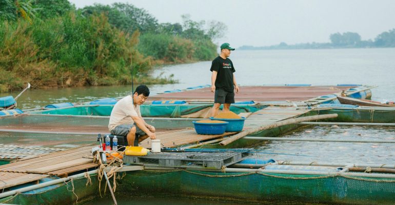 BAGAIMANA MENGELOLA KESEHATAN DAN PERTUMBUHAN OPTIMAL PADA POLIKULTUR UDANG DAN NILA DI TAMBAK