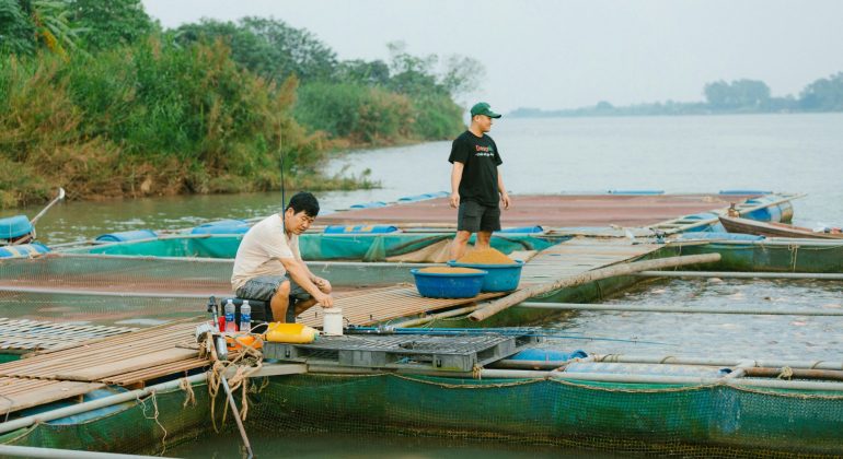 BAGAIMANA MENGELOLA KESEHATAN DAN PERTUMBUHAN OPTIMAL PADA POLIKULTUR UDANG DAN NILA DI TAMBAK