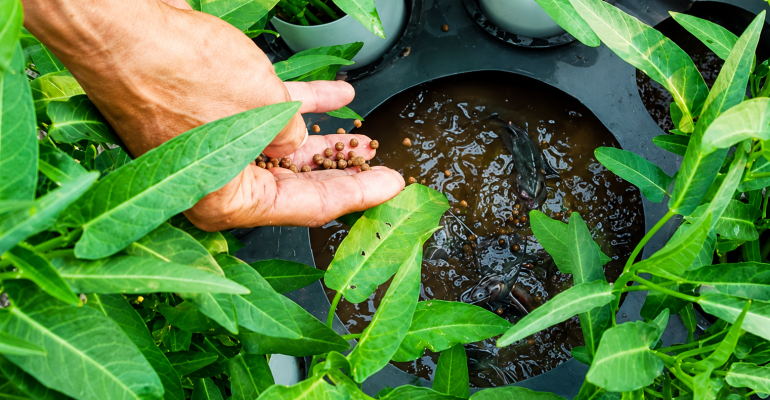 https://trubus.id/budikdamber-kangkung-di-atas-lele-di-bawah/