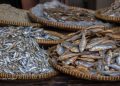 BUKAN SEKEDAR DIJEMUR: CARA CERDAS BIKIN IKAN ASIN LEBIH HIGIENIS