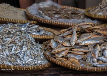 BUKAN SEKEDAR DIJEMUR: CARA CERDAS BIKIN IKAN ASIN LEBIH HIGIENIS
