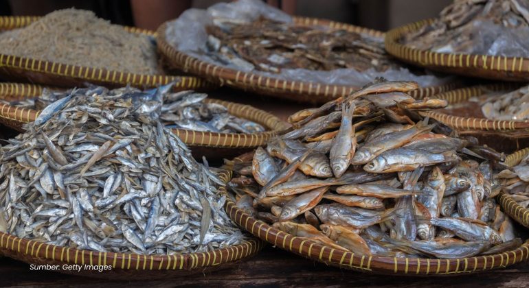 BUKAN SEKEDAR DIJEMUR CARA CERDAS BIKIN IKAN ASIN LEBIH HIGIENIS