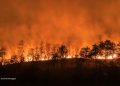 KEBAKARAN HUTAN DAN LAHAN: ANCAMAN MUSIM KEMARAU YANG TAK KUNJUNG USAI