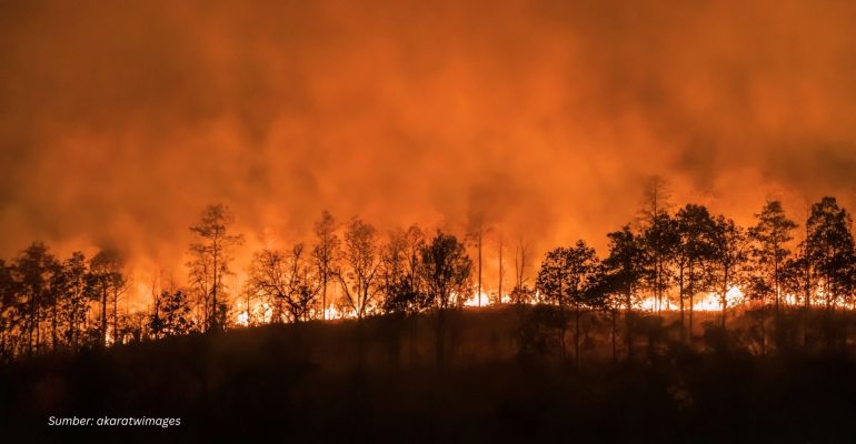 KEBAKARAN HUTAN DAN LAHAN, ANCAMAN MUSIM KEMARAU YANG TAK KUNJUNG USAI