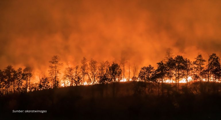 KEBAKARAN HUTAN DAN LAHAN, ANCAMAN MUSIM KEMARAU YANG TAK KUNJUNG USAI
