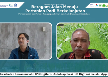 LPA2I IPB DAN KRKP DORONG PENGUATAN PRAKTIK PERTANIAN PADI BERKELANJUTAN