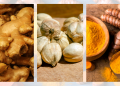 BUKAN CUMA BUMBU DAPUR! 5 TANAMAN OBAT INI PUNYA POTENSI EKONOMI
