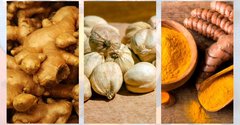 BUKAN CUMA BUMBU DAPUR! 5 TANAMAN OBAT INI PUNYA POTENSI EKONOMI