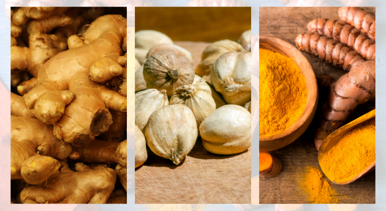 BUKAN CUMA BUMBU DAPUR! 5 TANAMAN OBAT INI PUNYA POTENSI EKONOMI